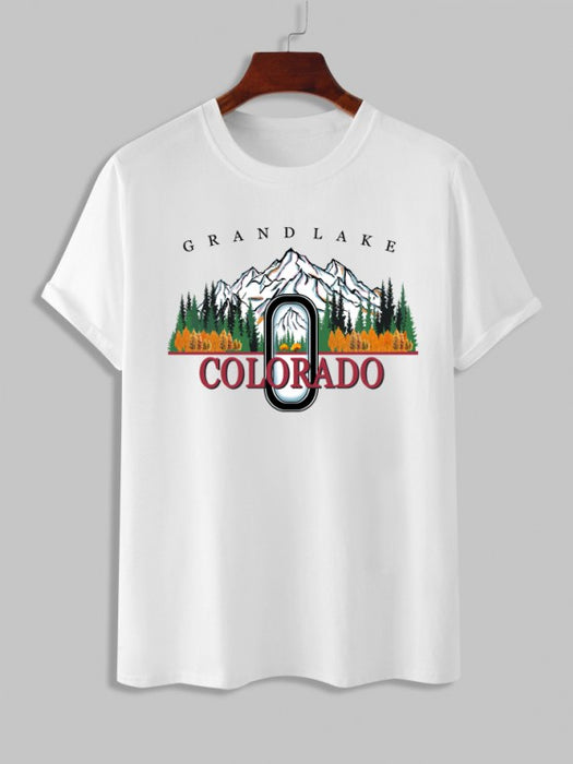 Landscape Graphic T Shirt With Basic Solid Color Shorts Set